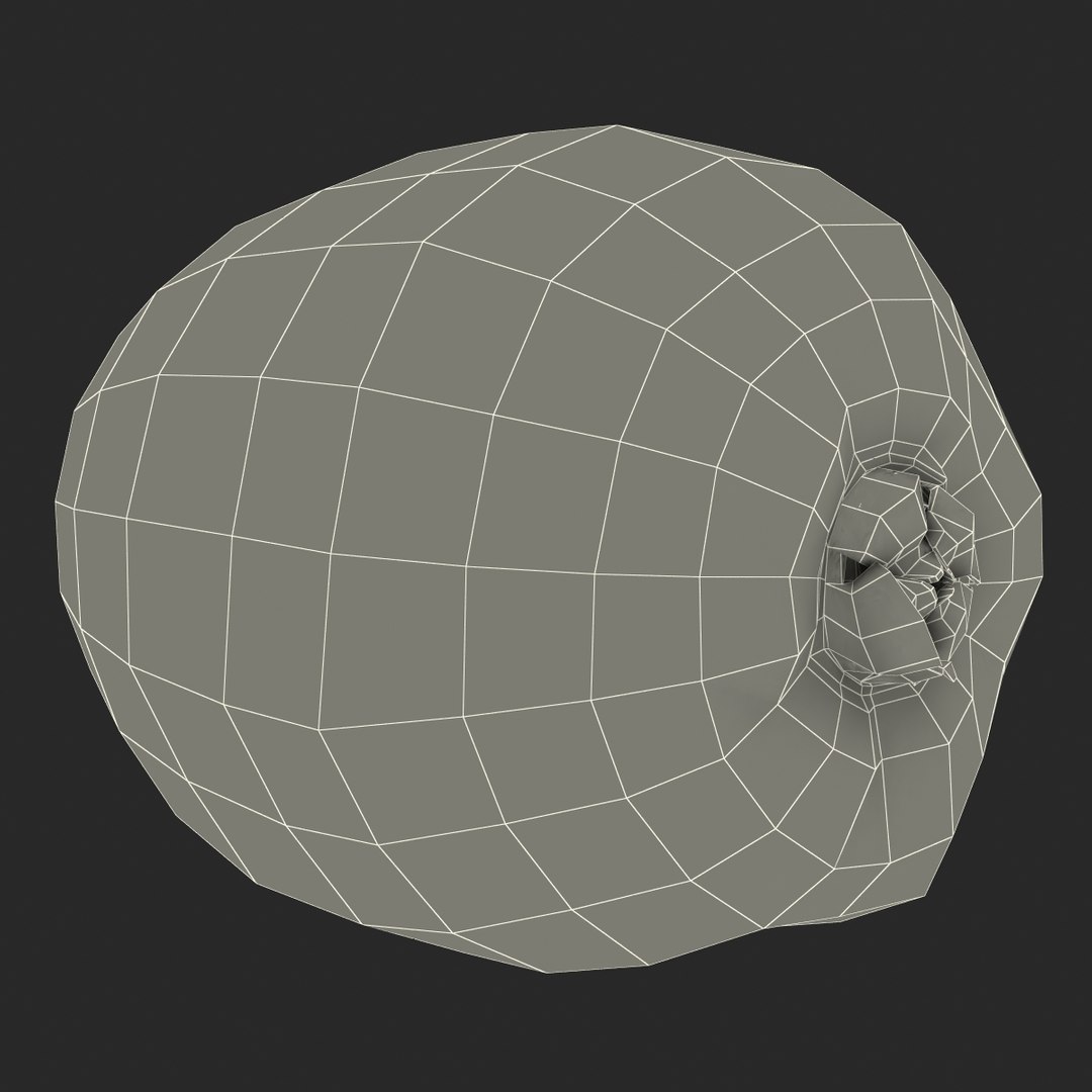 3d model kiwi modeled https://p.turbosquid.com/ts-thumb/BK/KmK6G4/FdIw3Qcv/kiwi3dmodel19/jpg/1424532358/1920x1080/fit_q87/569c9f53c73c8f681a09dfa5730577c7b7bed513/kiwi3dmodel19.jpg
