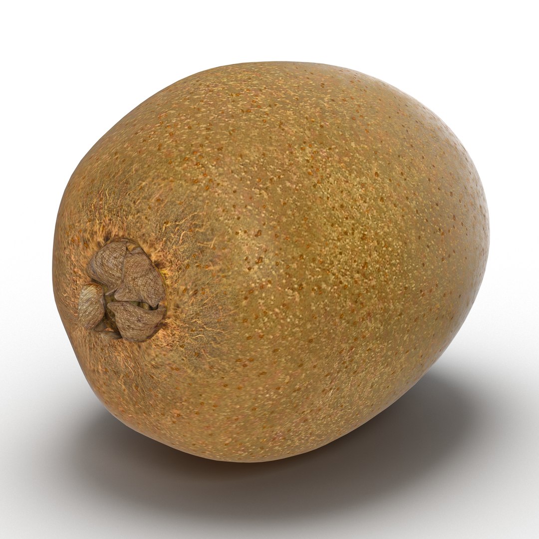 Kiwi 3D model preview