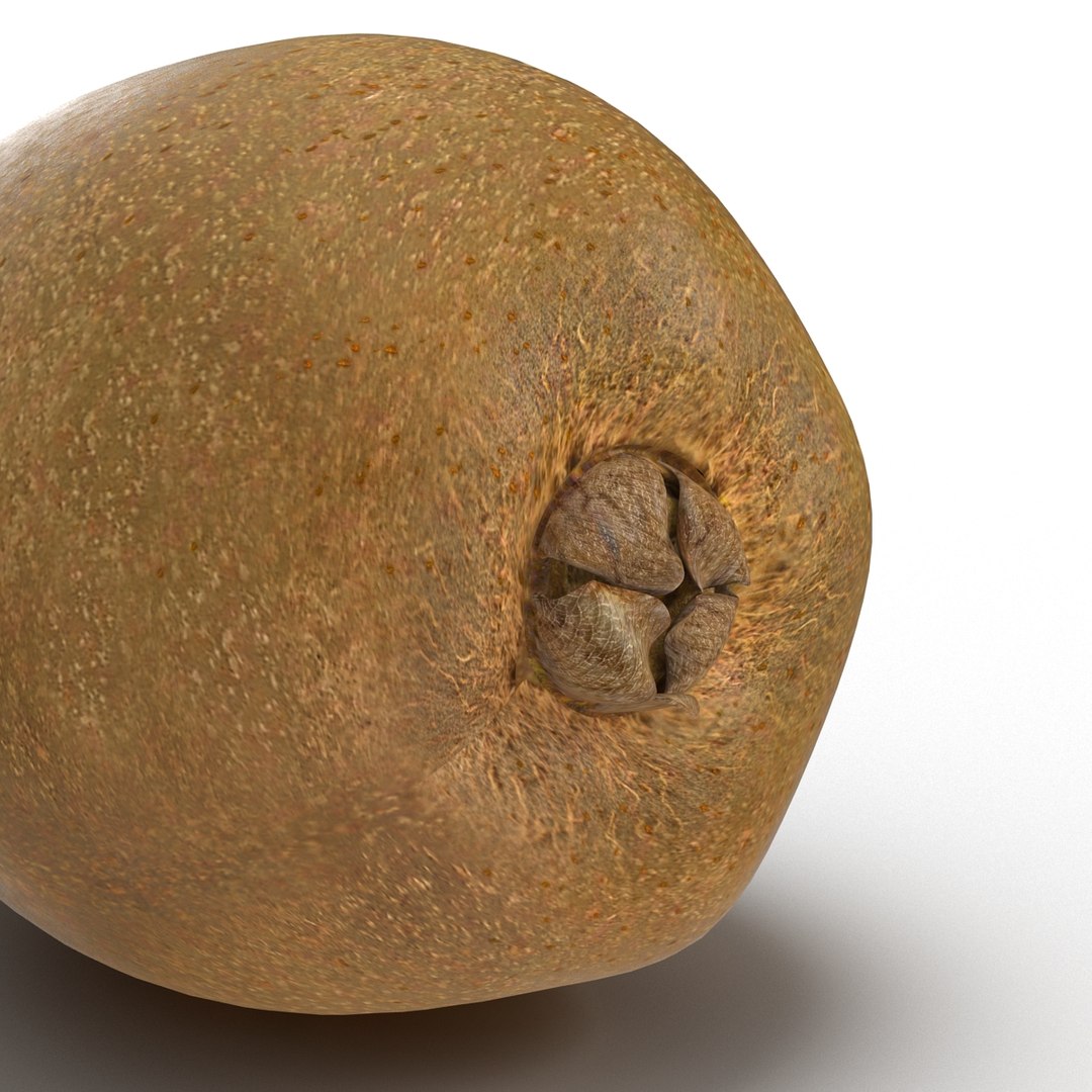 3d model kiwi modeled https://p.turbosquid.com/ts-thumb/BK/KmK6G4/UmquXrrE/kiwi3dmodel11/jpg/1424532357/1920x1080/fit_q87/6350525a50c99ab9ddbcf9b3507c7558f0617eb1/kiwi3dmodel11.jpg