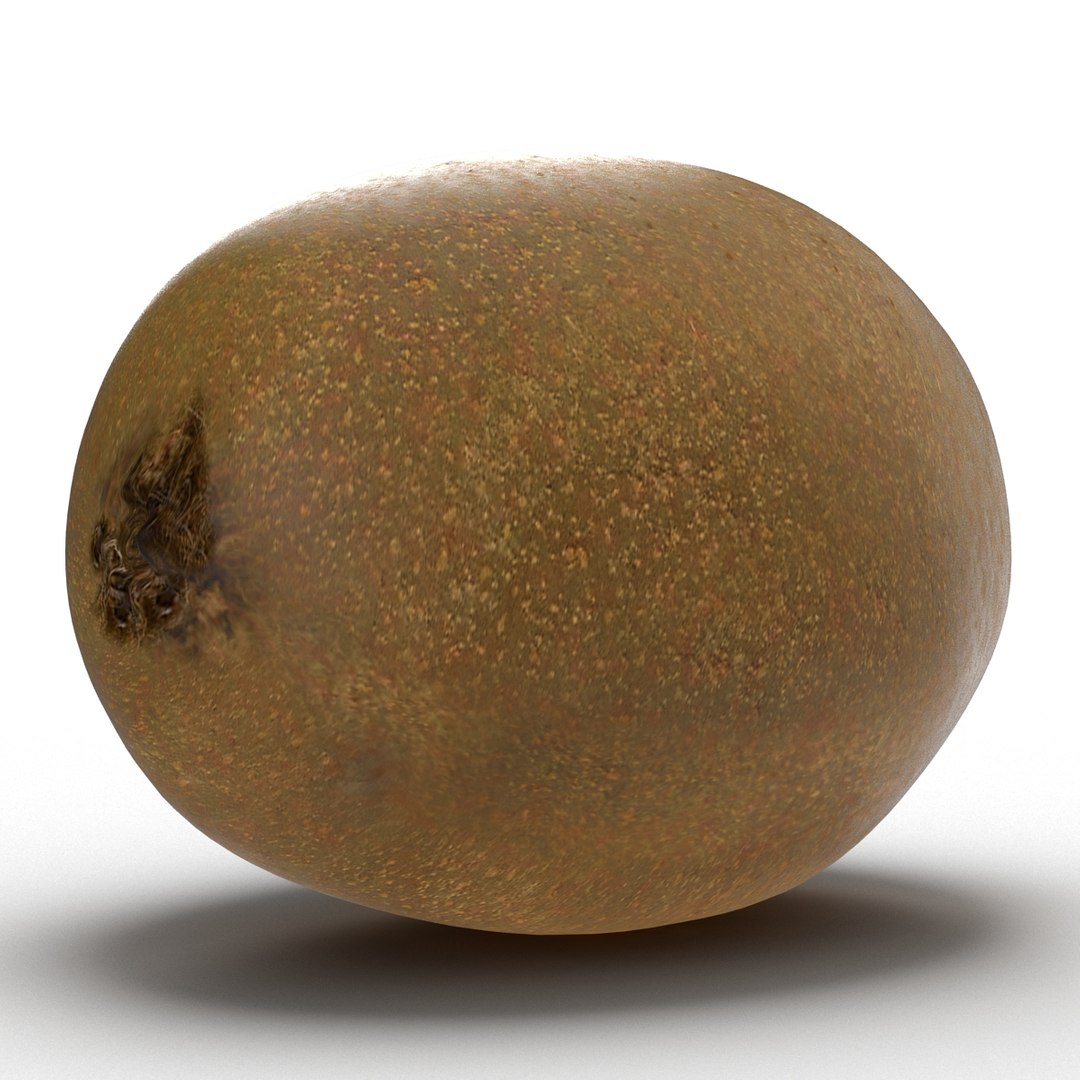 3d model kiwi modeled https://p.turbosquid.com/ts-thumb/BK/KmK6G4/UuiBBbVH/kiwi3dmodel07/jpg/1424532357/1920x1080/fit_q87/9acbea85e452d4d1724e5d77961571abeef87196/kiwi3dmodel07.jpg