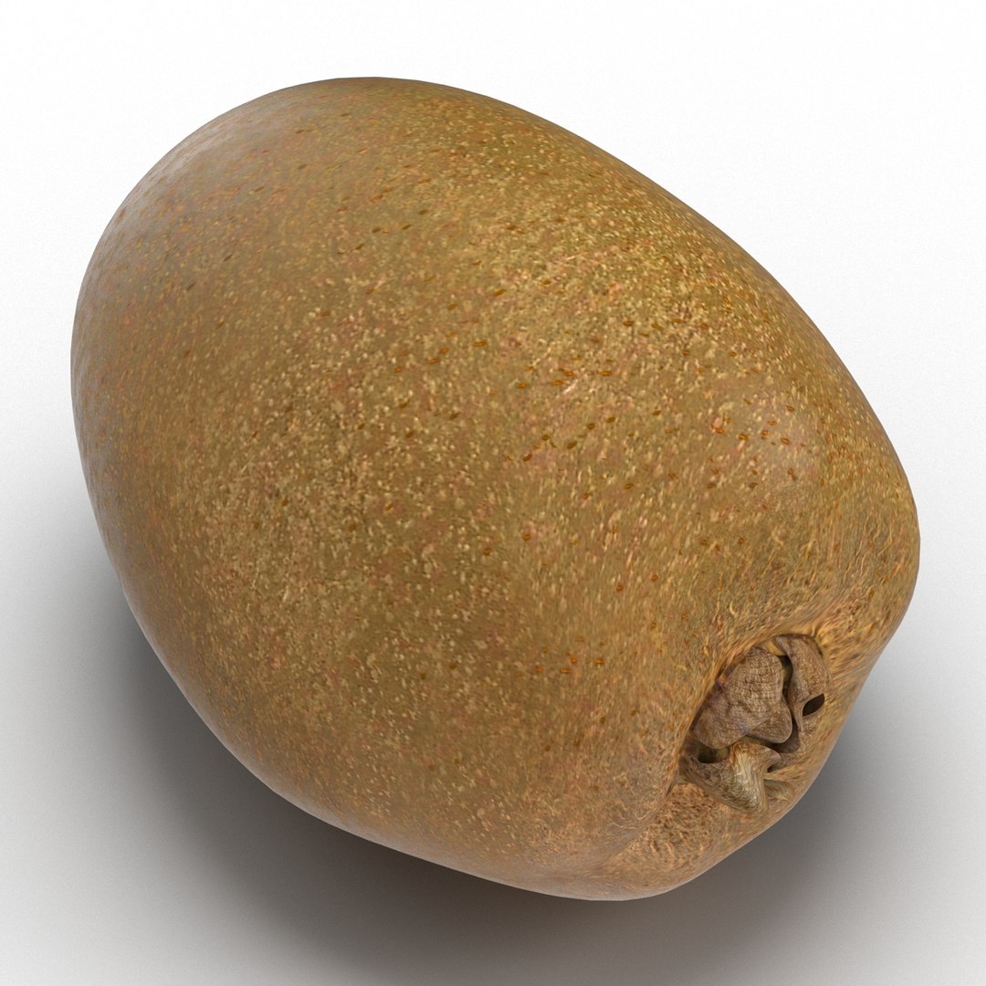 3d model kiwi modeled https://p.turbosquid.com/ts-thumb/BK/KmK6G4/WnwsXGaL/kiwi3dmodel12/jpg/1424532358/1920x1080/fit_q87/07ded067eb4ce7233de5020c69b95cd60f724cd2/kiwi3dmodel12.jpg
