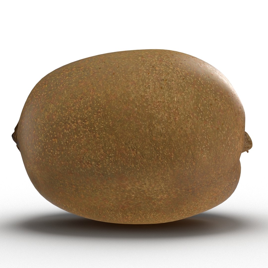 3d model kiwi modeled https://p.turbosquid.com/ts-thumb/BK/KmK6G4/djDKv0Z8/kiwi3dmodel06/jpg/1424532357/1920x1080/fit_q87/1799b751b4dd8a7aa12396ce28145c884990731e/kiwi3dmodel06.jpg