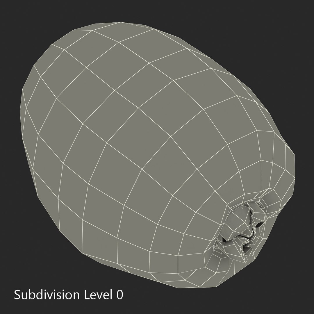 3d model kiwi modeled https://p.turbosquid.com/ts-thumb/BK/KmK6G4/epQyARSR/kiwi3dmodel13/jpg/1424532358/1920x1080/fit_q87/e8b6f0cd6162a7470447f1425df9d20d2f225b85/kiwi3dmodel13.jpg