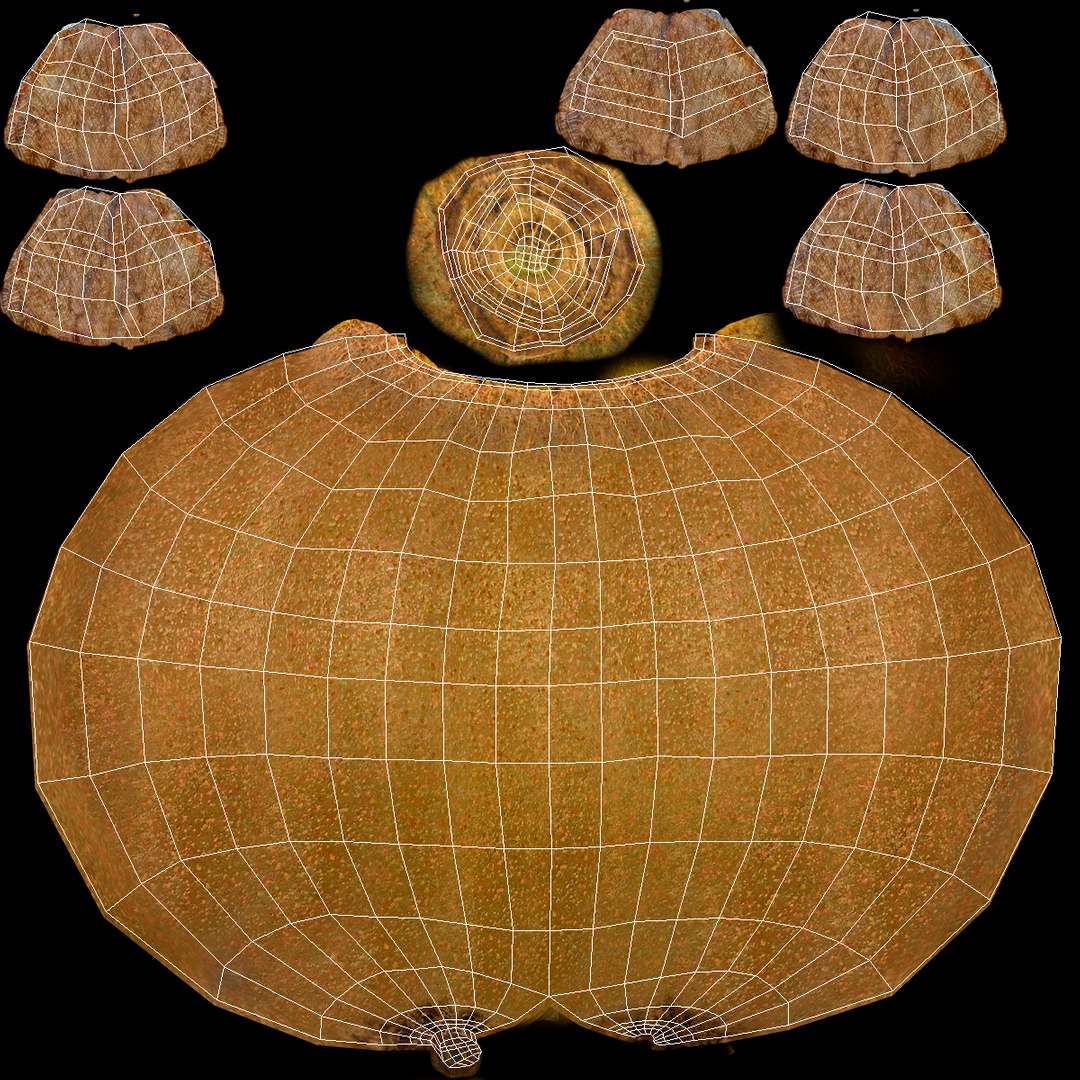 3d model kiwi modeled https://p.turbosquid.com/ts-thumb/BK/KmK6G4/gZ9cPAGK/kiwi3dmodel15/jpg/1424532358/1920x1080/fit_q87/f6edbacec37b9544256454188f7e006c651ef56c/kiwi3dmodel15.jpg