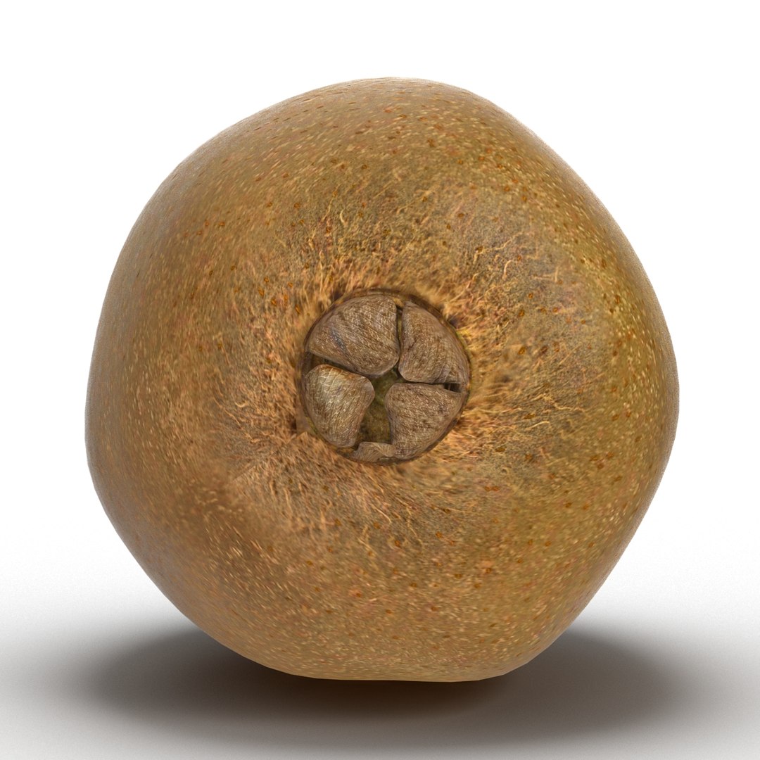 3d model kiwi modeled https://p.turbosquid.com/ts-thumb/BK/KmK6G4/kFTf6cP5/kiwi3dmodel04/jpg/1424532357/1920x1080/fit_q87/d5853c6c850e18cd28509b666816aea02c41a017/kiwi3dmodel04.jpg