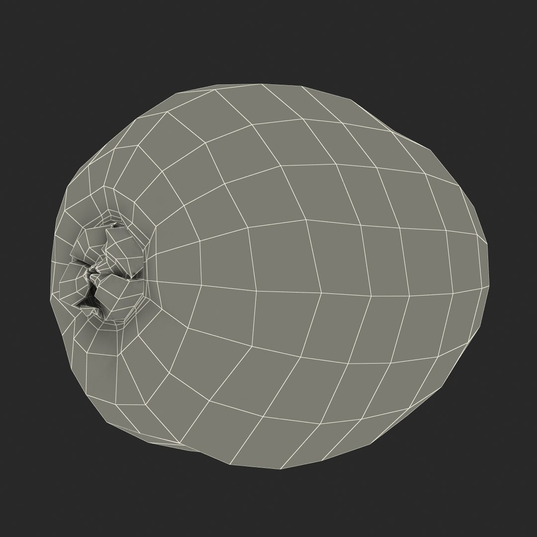 3d model kiwi modeled https://p.turbosquid.com/ts-thumb/BK/KmK6G4/nJTNfvTO/kiwi3dmodel18/jpg/1424532358/1920x1080/fit_q87/1fe9acea0d328b93dbfe3dab26baf772562decb5/kiwi3dmodel18.jpg