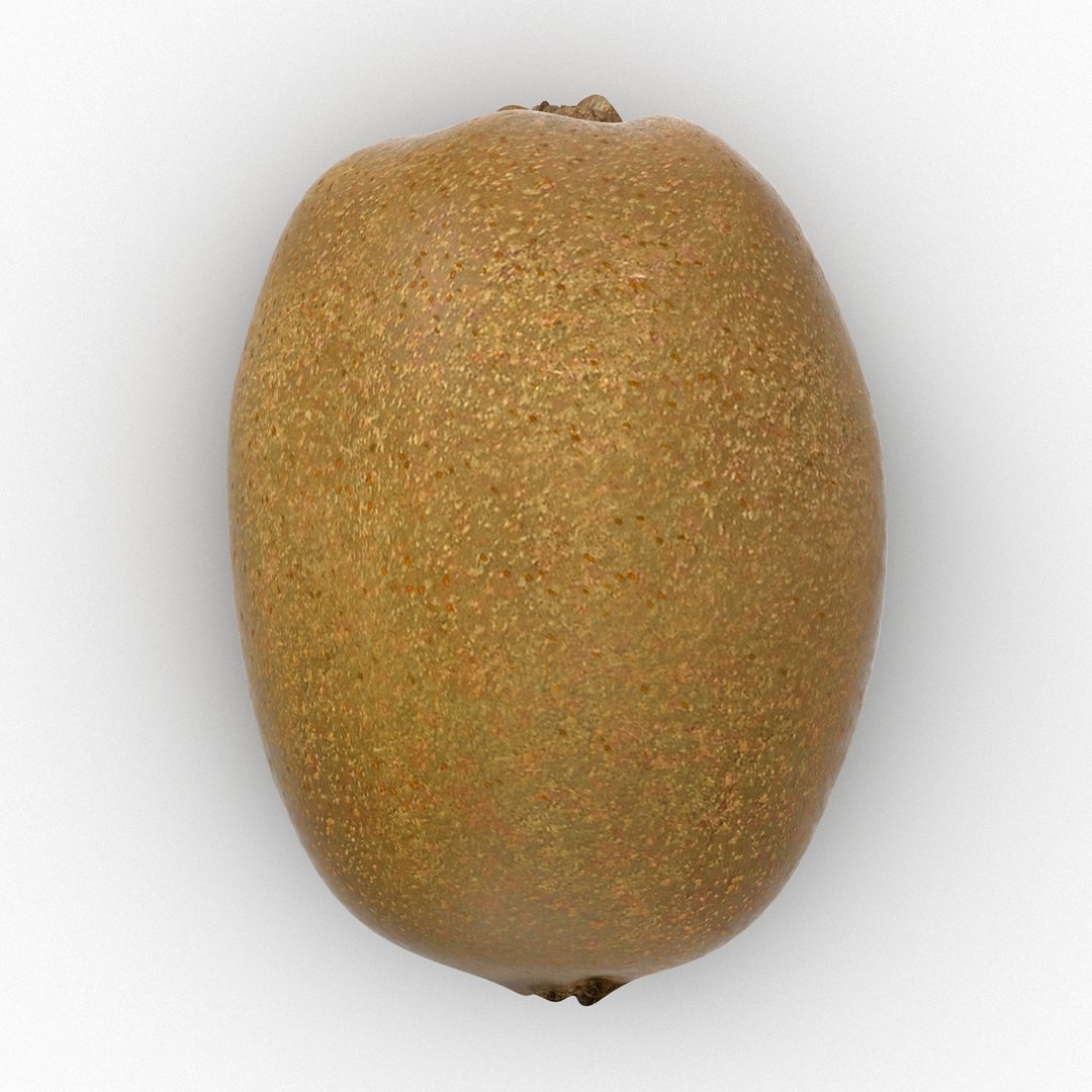 3d model kiwi modeled https://p.turbosquid.com/ts-thumb/BK/KmK6G4/oPyz0SEH/kiwi3dmodel09/jpg/1424532357/1920x1080/fit_q87/43b18285040d1d2e77cffc96ba6204efd6037f0b/kiwi3dmodel09.jpg