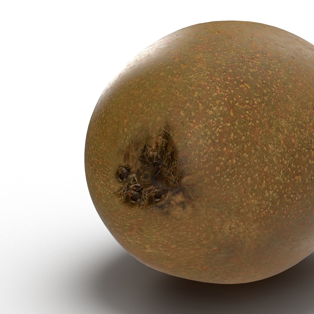 3d model kiwi modeled https://p.turbosquid.com/ts-thumb/BK/KmK6G4/r6HJOwUB/kiwi3dmodel10/jpg/1424532357/1920x1080/fit_q87/283a1759acce9c46dfd3da94ea7bcd9cca8bcbe6/kiwi3dmodel10.jpg