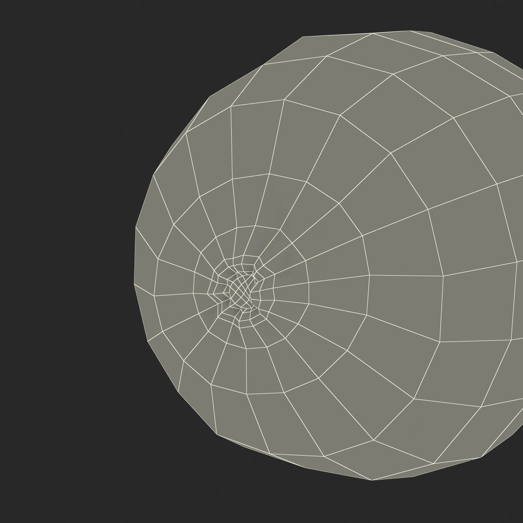 3d model kiwi modeled https://p.turbosquid.com/ts-thumb/BK/KmK6G4/u9vG5PXD/kiwi3dmodel21/jpg/1424532358/1920x1080/fit_q87/13ebcccca4d6bf5848872107e3aa343c55ccd21b/kiwi3dmodel21.jpg