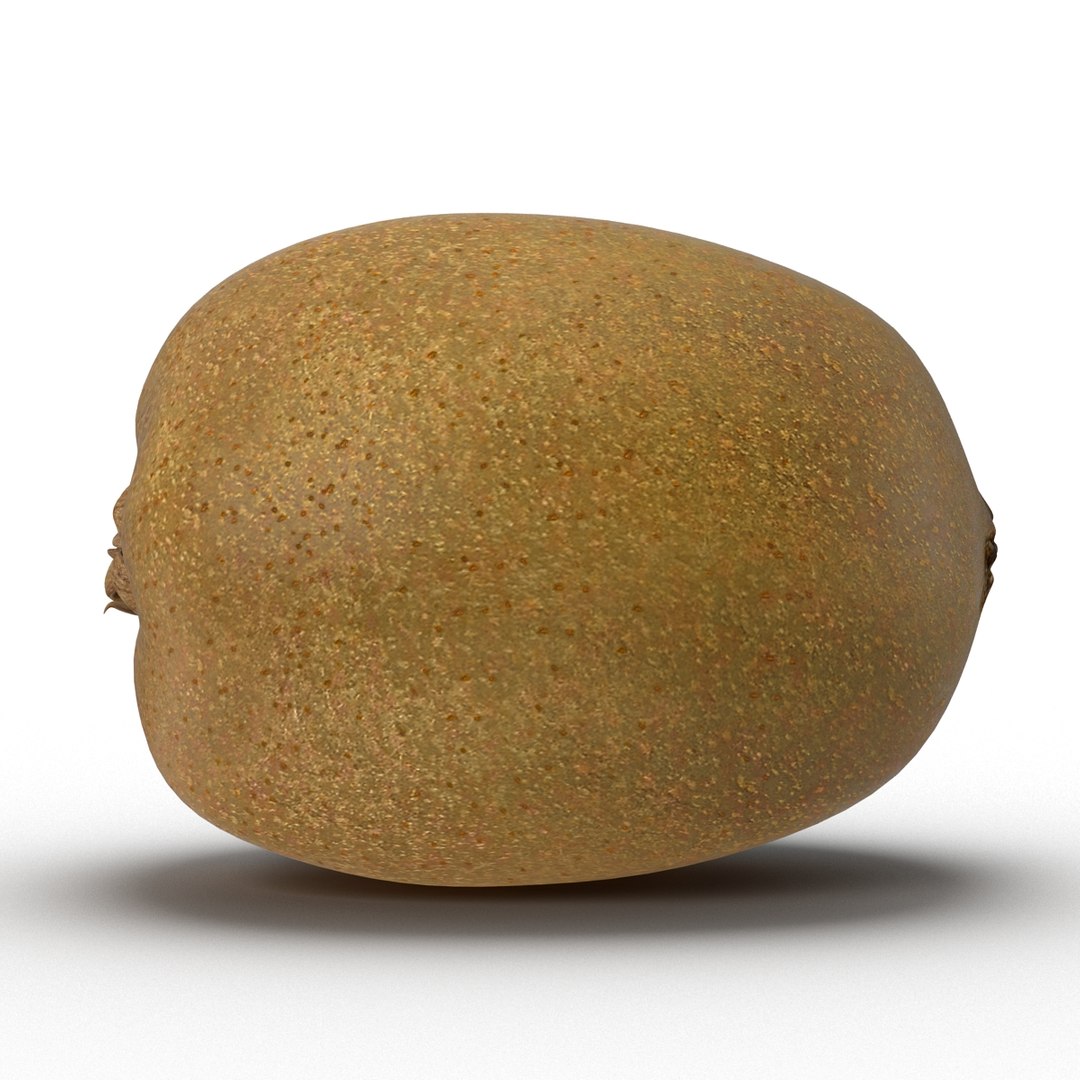 3d model kiwi modeled https://p.turbosquid.com/ts-thumb/BK/KmK6G4/vsR4Pv1L/kiwi3dmodel02/jpg/1424532357/1920x1080/fit_q87/1a9f25bd75ff1042415458ee180a10f6c594e315/kiwi3dmodel02.jpg
