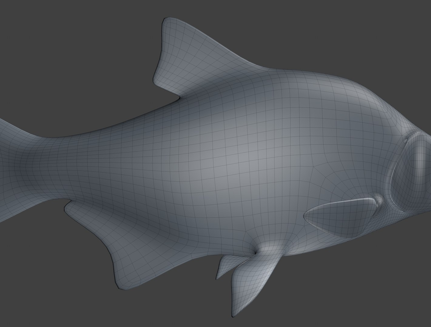 3D fish rigged - TurboSquid 1441978