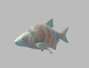 3D fish rigged