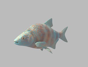 Fish Animated Rigged