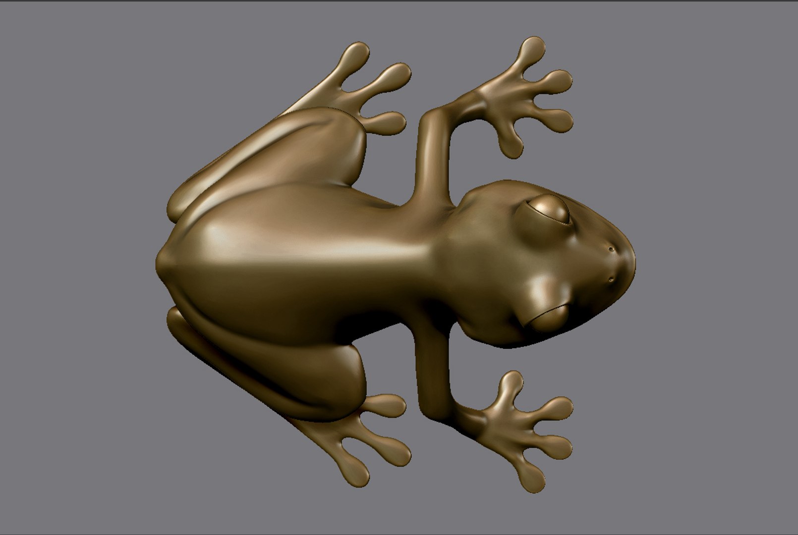 3d Frog Print Model