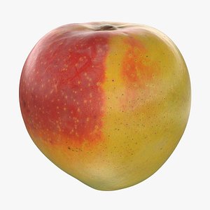 3D Mango 01