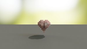Brain