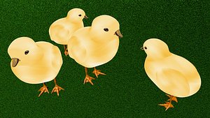 baby chicken 3d model