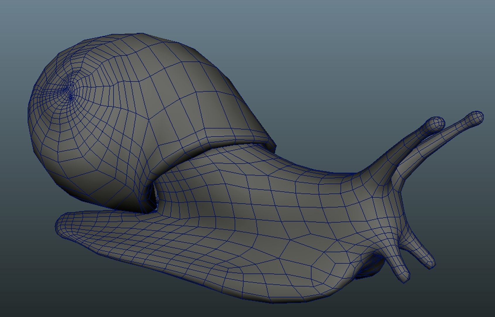 3d Snail Model