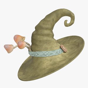 3D model Mushroom Wizard Witch Hat