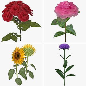 Flower Collecton 4