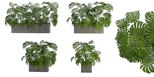 3D Collection plant vol 323 - blender