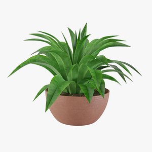 plant 3 3D model