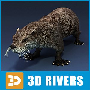 sea otter animals 3d max