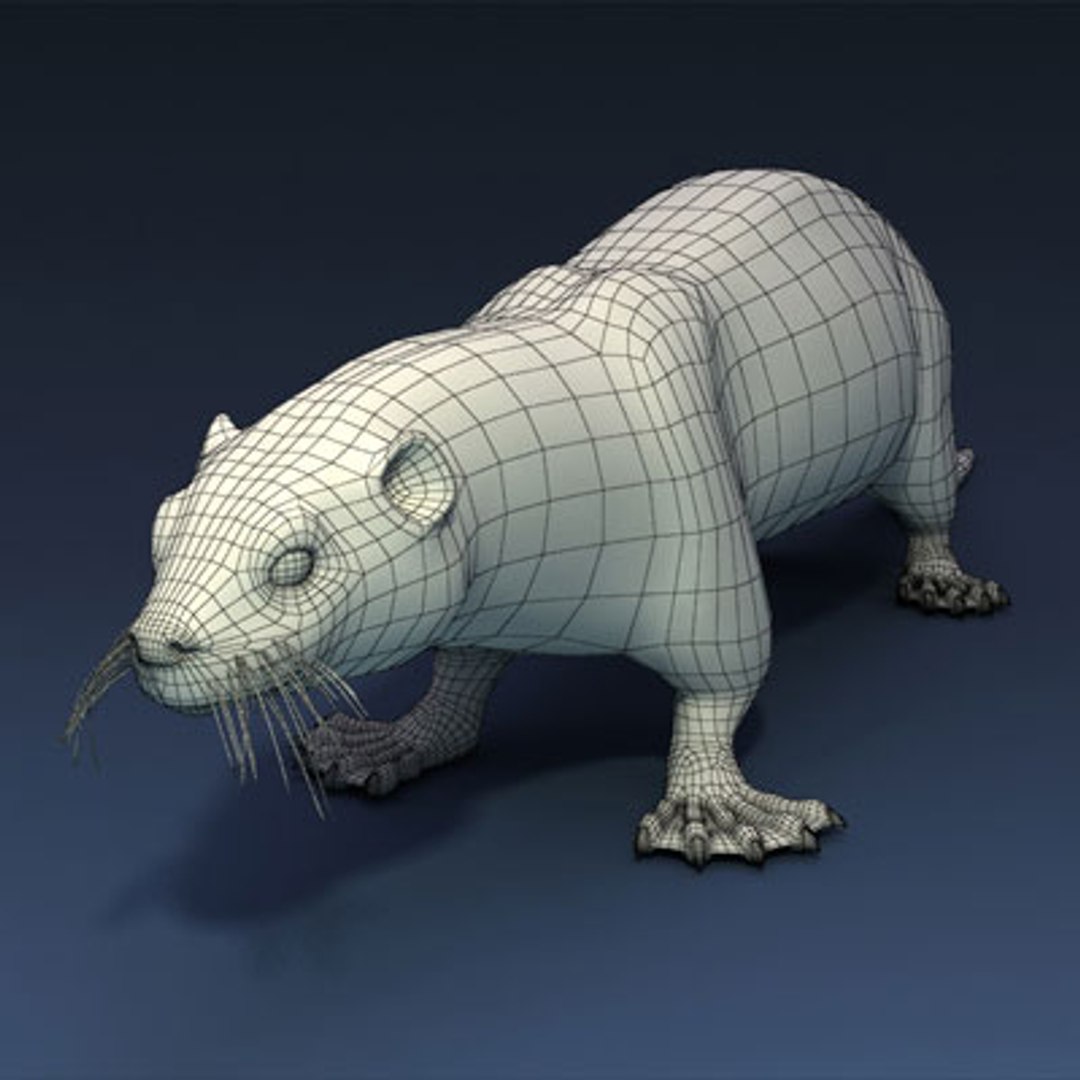 sea otter animals 3d max https://p.turbosquid.com/ts-thumb/BL/E2hPfL/aovGnJMG/seaotterw01/jpg/1278672244/1920x1080/fit_q87/a8bc39db8d0ecb5de702f69cc2371c134ba126f3/seaotterw01.jpg