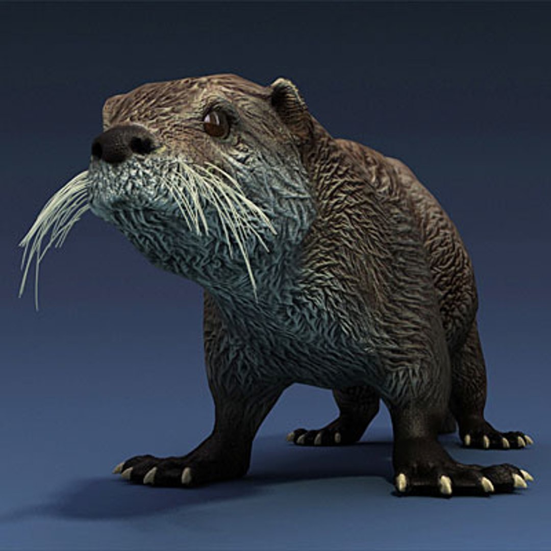 sea otter animals 3d max https://p.turbosquid.com/ts-thumb/BL/E2hPfL/bRkMKSgw/seaotterc03/jpg/1278672244/1920x1080/fit_q87/e9e62fd5cd62757db0cfc6a95a9eb0b6dedf35ae/seaotterc03.jpg