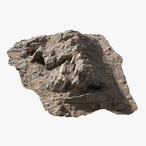 Assembly Ground Rock 05 StemCell