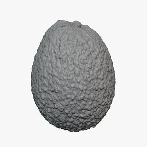 3D Whole Avocado 02 - For 3D Print
