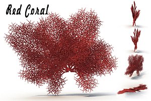 3d sea corals red model