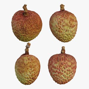 litchi fruit 3D model