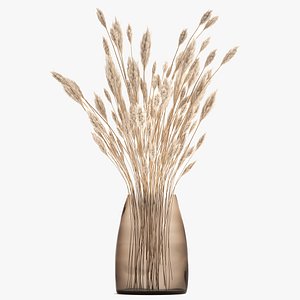 3D Bouquet of dried white reeds in a Vase 149 model