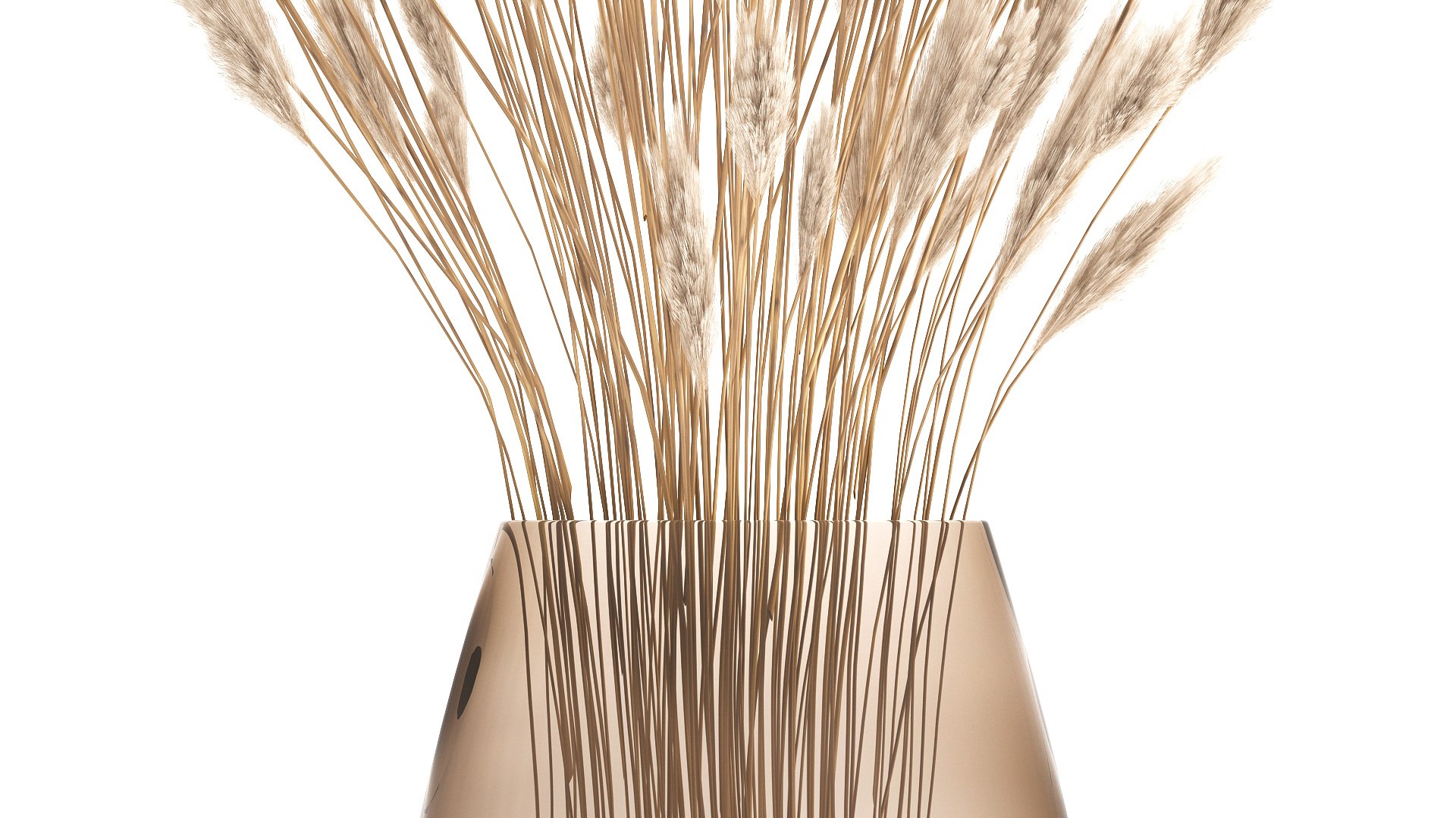 3D Bouquet Of Dried White Reeds In A Vase 149 Model - TurboSquid 1776066