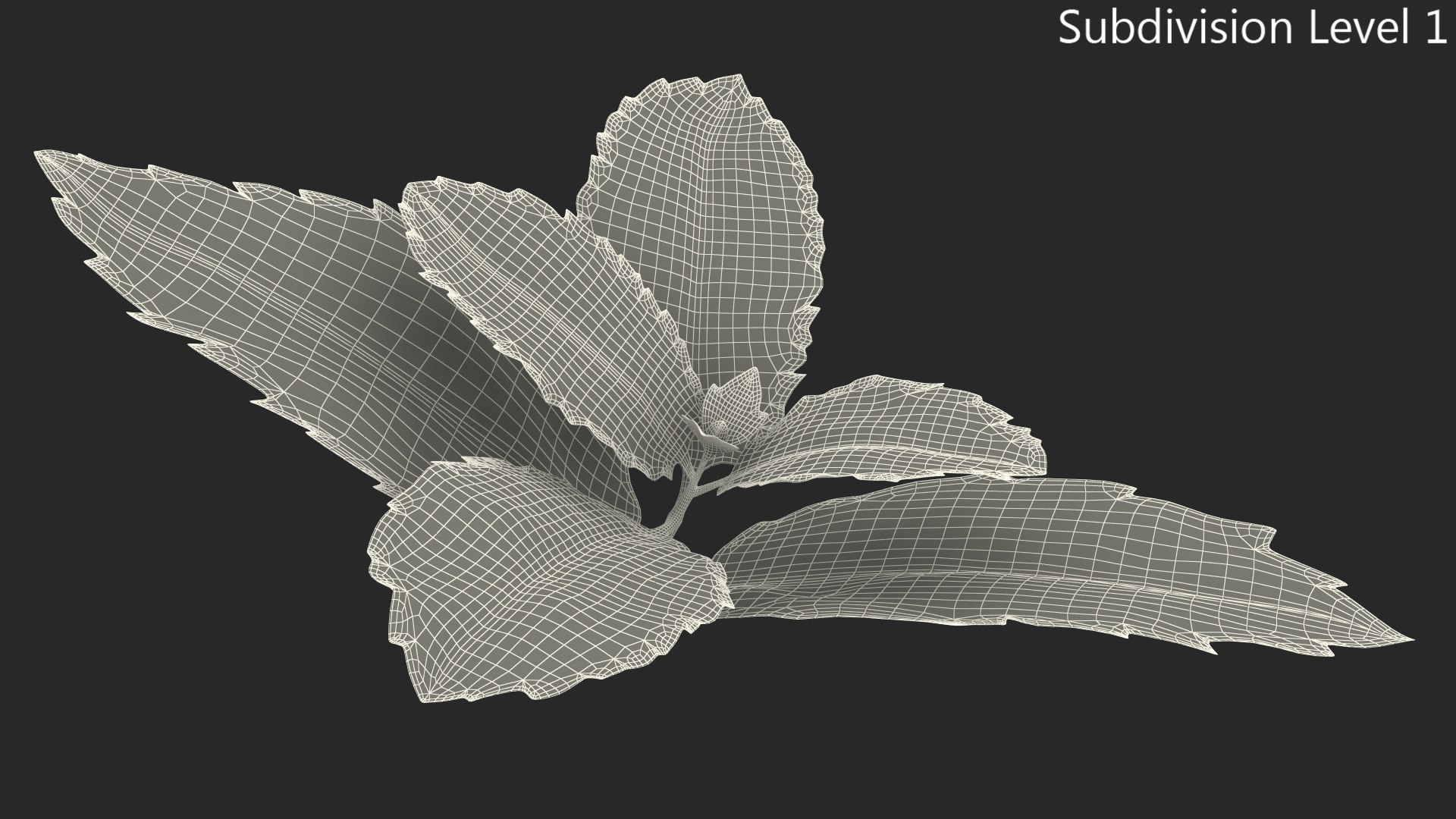 fresh mint leaves 3D model https://p.turbosquid.com/ts-thumb/BL/QoWqY9/ScUpVU3J/freshmintleavesmb3dmodel006/jpg/1587485059/1920x1080/fit_q87/bf3570cdd677624d3d9fd8b9bda3a5447cb04ff9/freshmintleavesmb3dmodel006.jpg