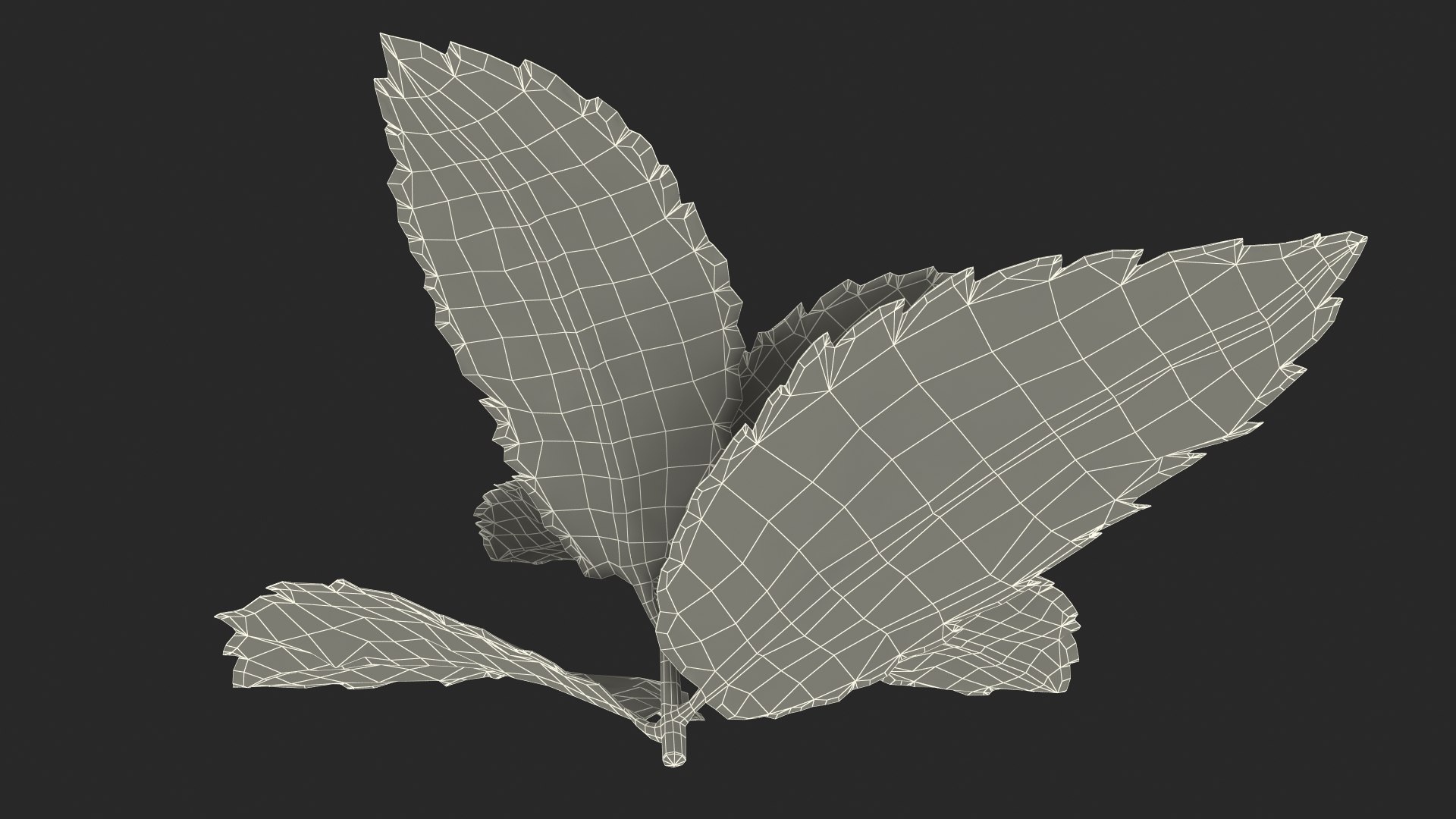 fresh mint leaves 3D model https://p.turbosquid.com/ts-thumb/BL/QoWqY9/hk2pMGkc/freshmintleavesmb3dmodel014/jpg/1587485087/1920x1080/fit_q87/a4306140c14305bf27b6d14d0e756138f2a77c2b/freshmintleavesmb3dmodel014.jpg