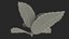 fresh mint leaves 3D model