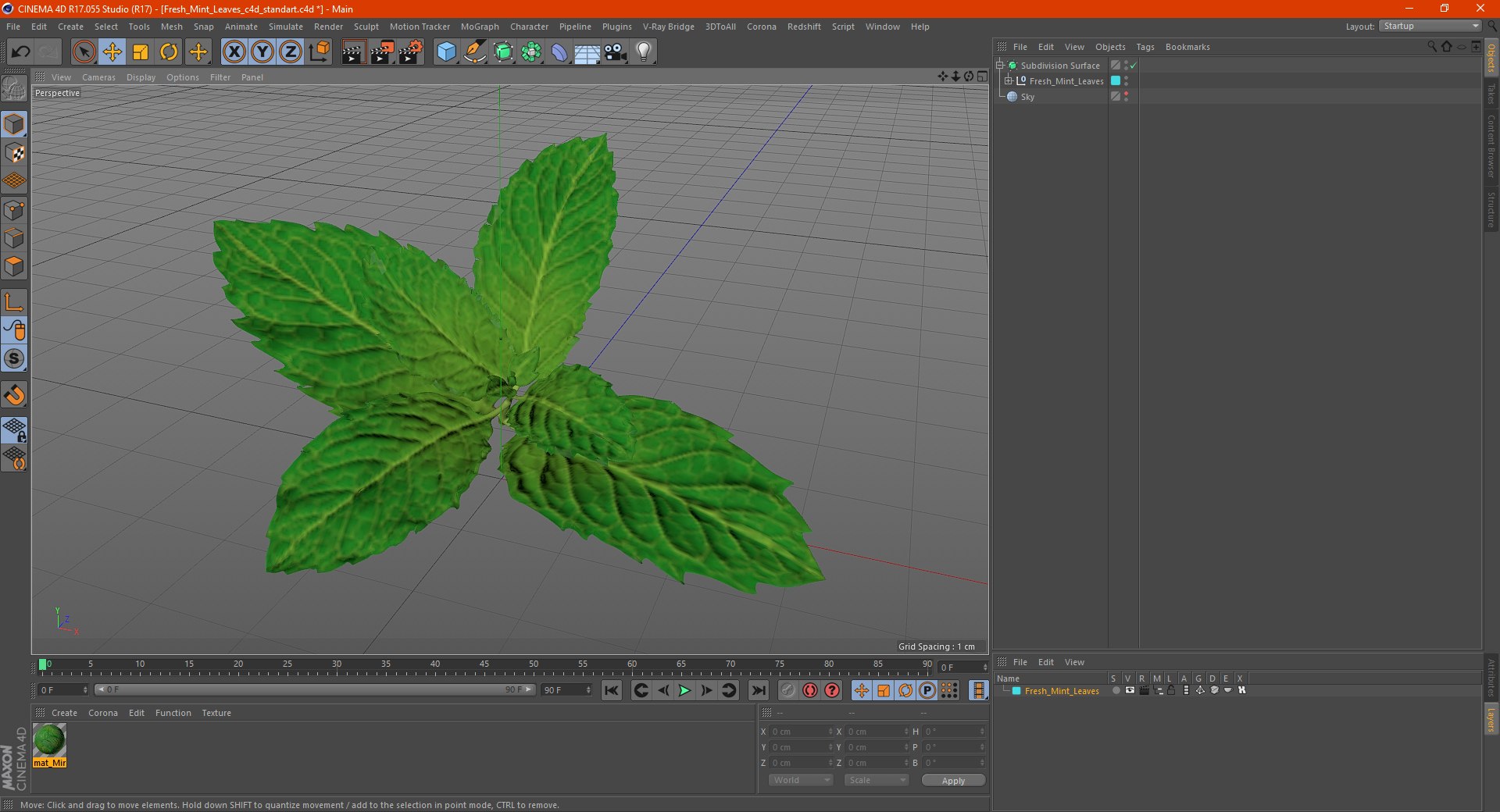 fresh mint leaves 3D model https://p.turbosquid.com/ts-thumb/BL/QoWqY9/z59TwCPF/freshmintleavesmb3dmodel010/jpg/1587485074/1920x1080/fit_q87/70ccf9064b0c48ff4bdfeb0cae8a4503125514ad/freshmintleavesmb3dmodel010.jpg