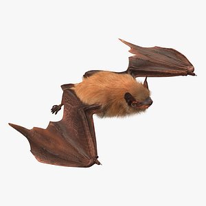 Flying Bat 2 with Fur 3D Model