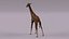 3D Giraffe