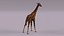 3D Giraffe
