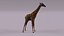 3D Giraffe