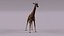 3D Giraffe