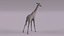 3D Giraffe