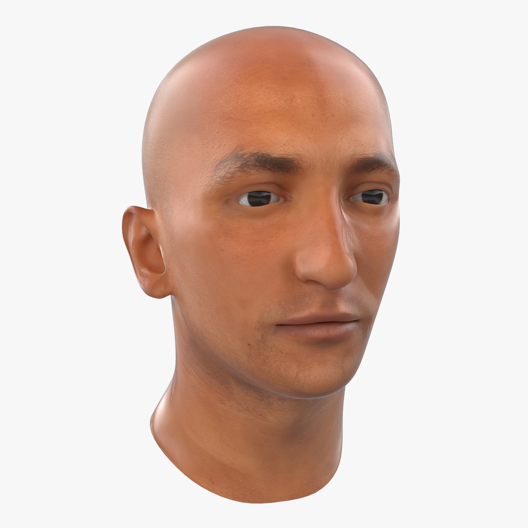 Mediterranean Male Head 3D model preview