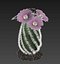 Spiral Cactus