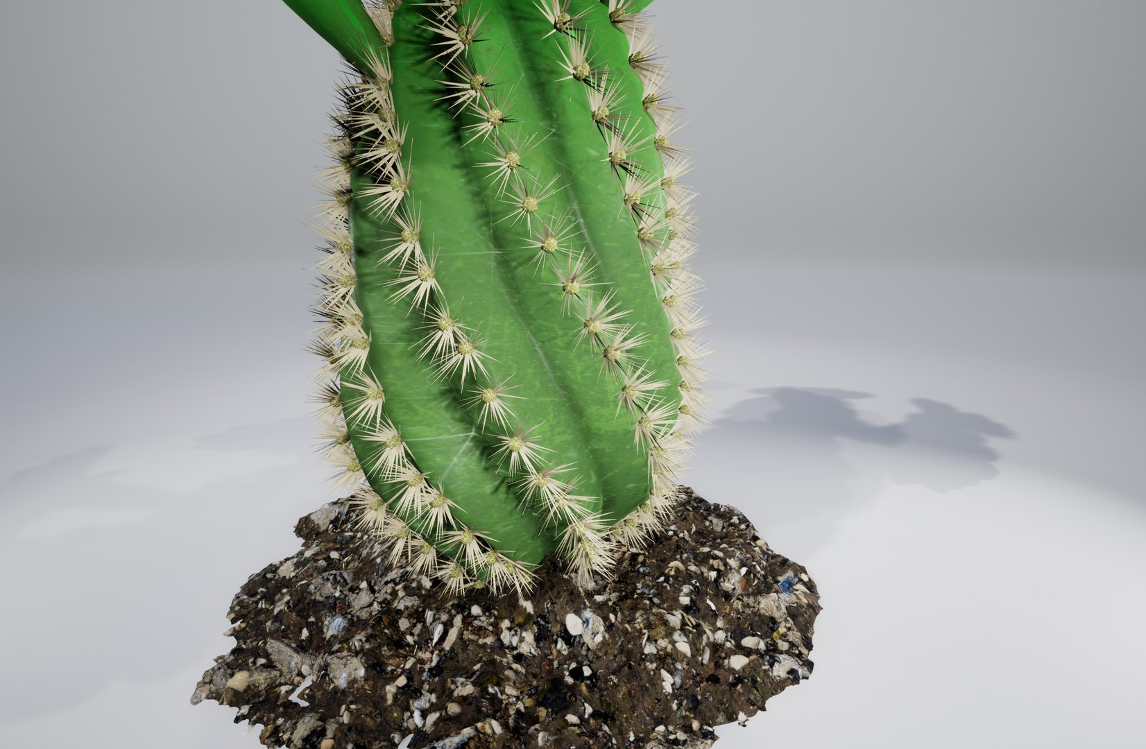 cactus pbr 3D model https://p.turbosquid.com/ts-thumb/BL/c73y91/9EKDdlU9/7/png/1549977865/1920x1080/fit_q87/a0b40df7f0ea66ba6659dcf2346815aadbeea4ce/7.jpg