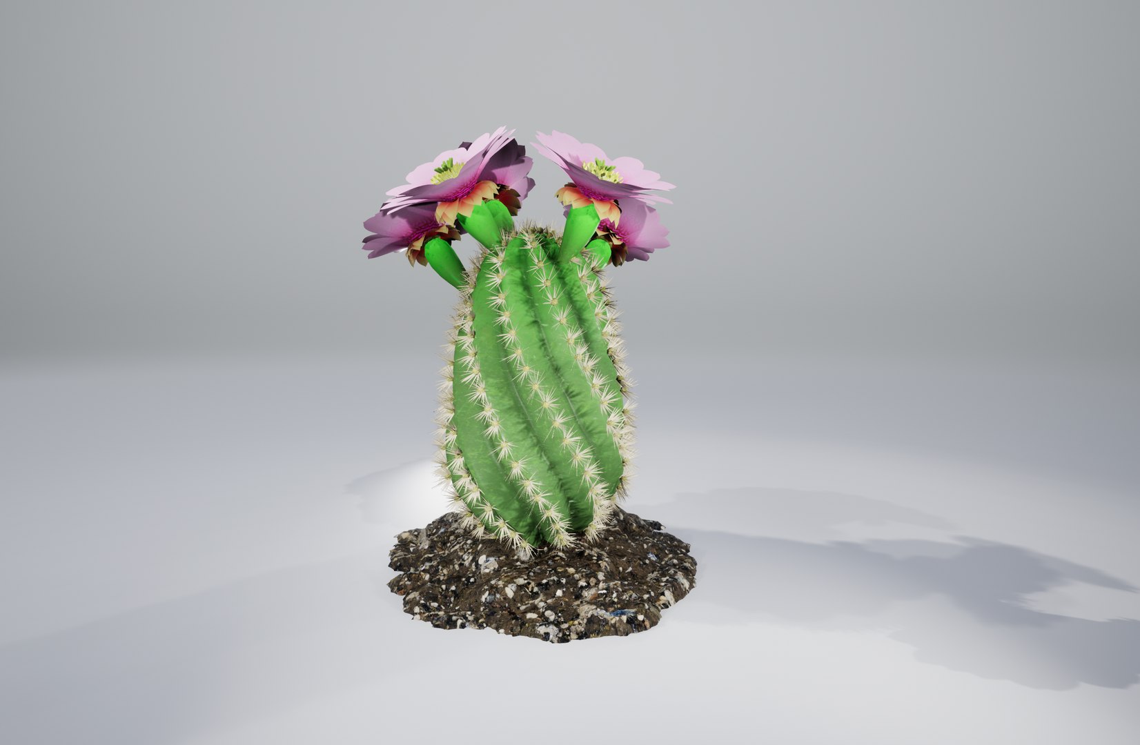 cactus pbr 3D model https://p.turbosquid.com/ts-thumb/BL/c73y91/TQaJwyEL/3/png/1549977865/1920x1080/fit_q87/32c50acef43a71929afd86e00dd9cfeb9918c5d9/3.jpg