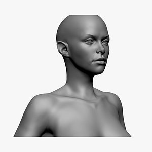 3D Base Female Anatomy A model